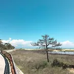 Locazione Turistica Simma-13